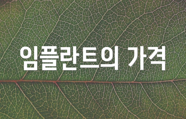 임플란트의 가격