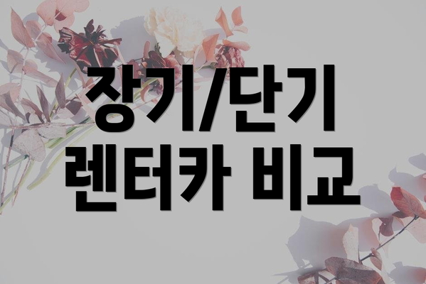 장기/단기 렌터카 비교
