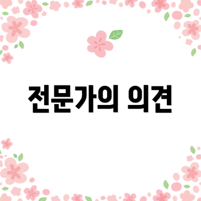 전문가의 의견