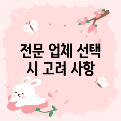 전문 업체 선택 시 고려 사항