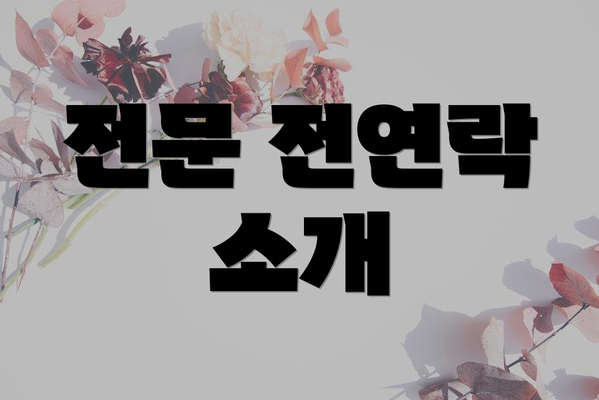 전문 전연락 소개