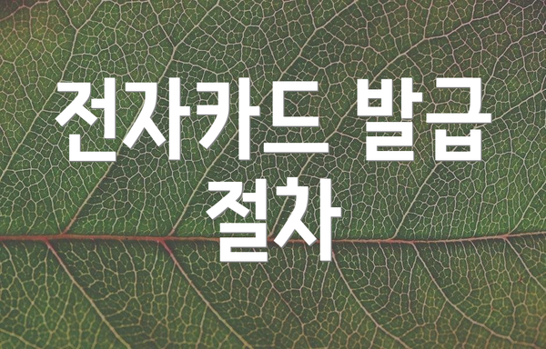 전자카드 발급 절차