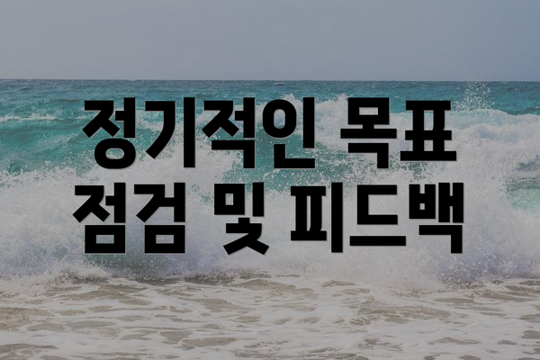 정기적인 목표 점검 및 피드백