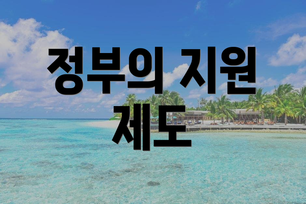 정부의 지원 제도
