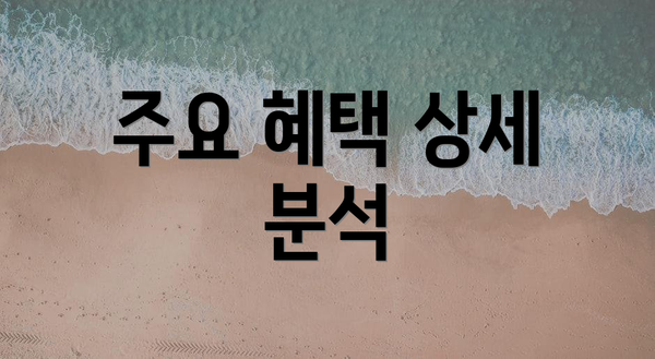 주요 혜택 상세 분석