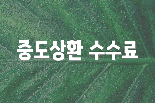 중도상환 수수료
