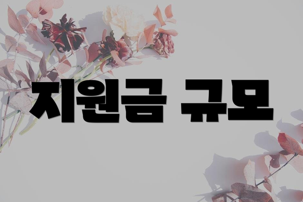 지원금 규모