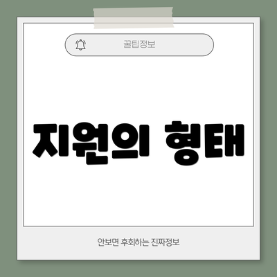 지원의 형태