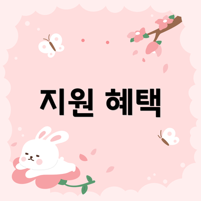 지원 혜택