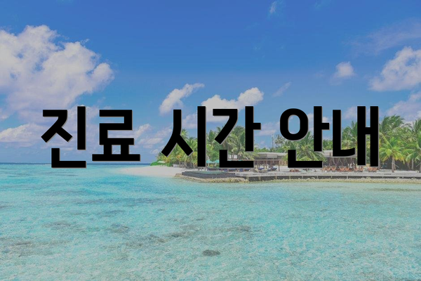 진료 시간 안내