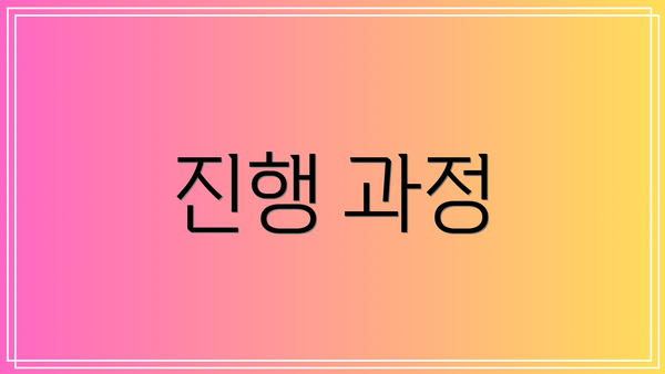 진행 과정