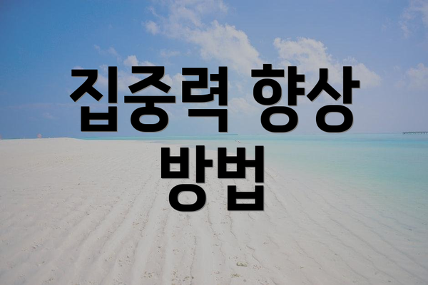 집중력 향상 방법