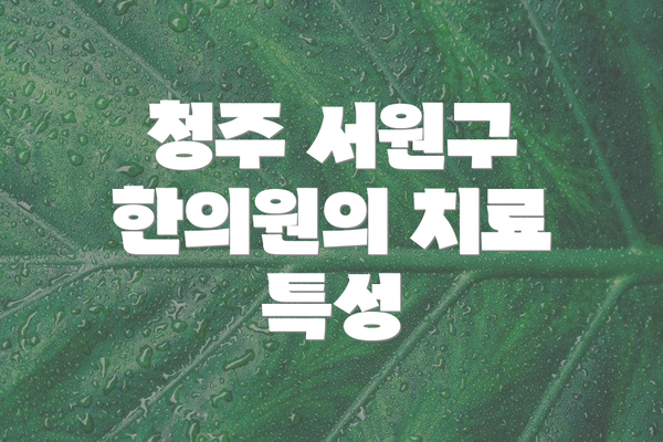 청주 서원구 한의원의 치료 특성