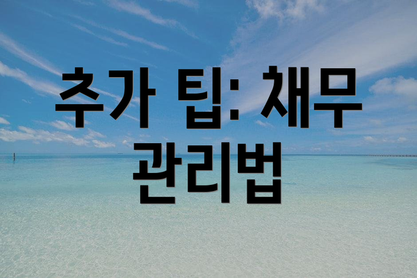 추가 팁: 채무 관리법