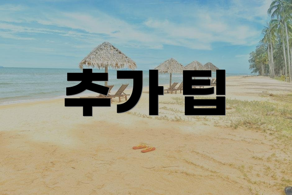 추가 팁