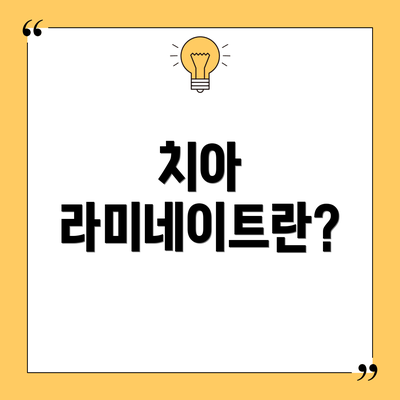 치아 라미네이트란?