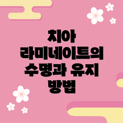 치아 라미네이트의 수명과 유지 방법