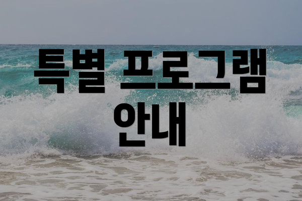 특별 프로그램 안내