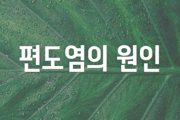 편도염의 원인