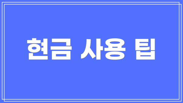 현금 사용 팁