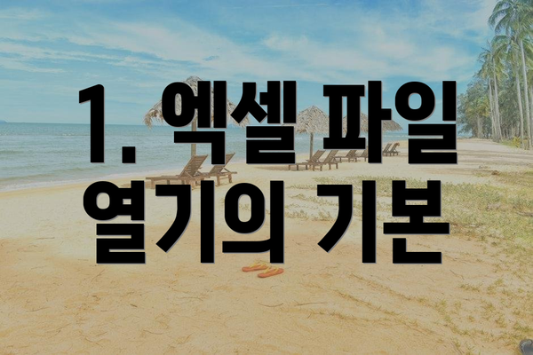1. 엑셀 파일 열기의 기본