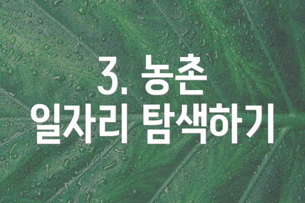 3. 농촌 일자리 탐색하기