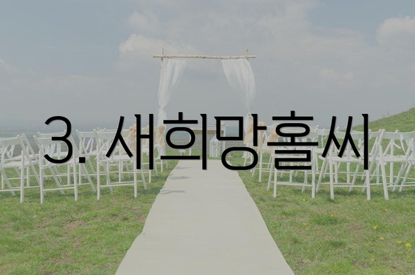 3. 새희망홀씨