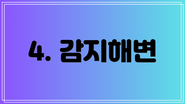 4. 감지해변