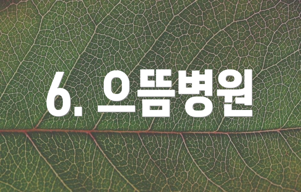 6. 으뜸병원