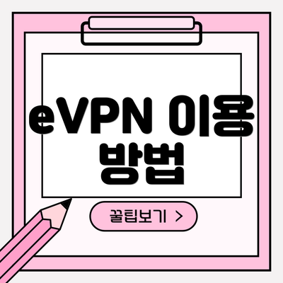 eVPN 이용 방법